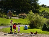 Humble Bee Wigwams