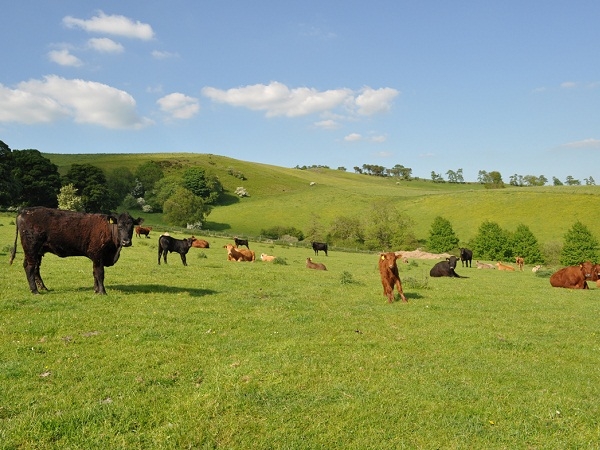 Black Hall Wigwams - Relax and Enjoy