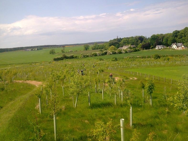 East Grange Quad Biking - 