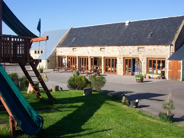 Summer is Here! - A warm and pleasant day on East Grange Farm