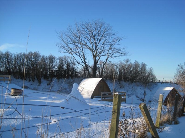 Lots of Snow! - A good amount of snow for building snowmen and snowball fights