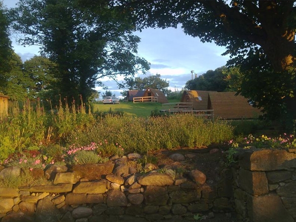 Wigwams Through the Trees - 