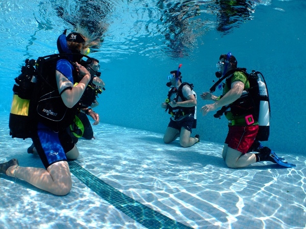 Learn to Dive - 