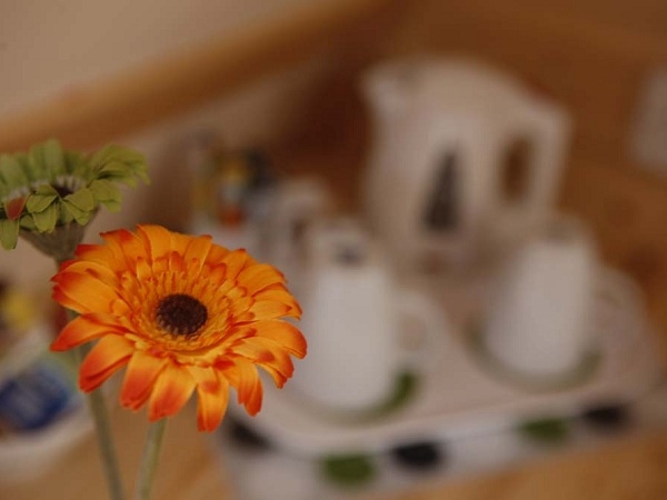 Enjoy the Hospitality - 