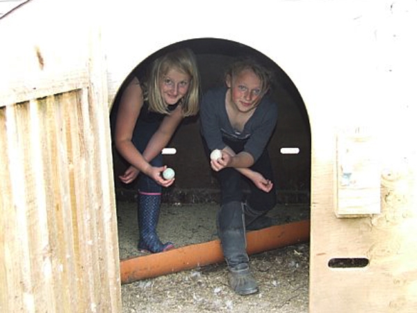 Frogwell Wigwams - Peek-A-Boo