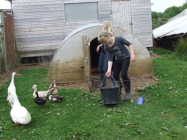 Frogwell Wigwams - Feeding the Residents