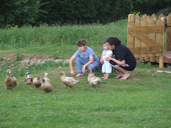 Frogwell Wigwams - Feeding the Ducks