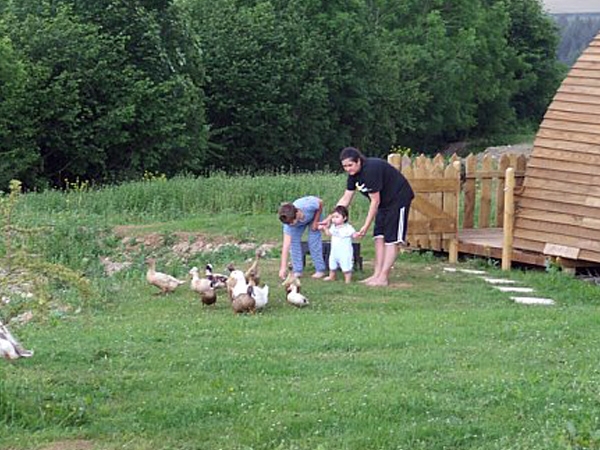 Frogwell Wigwams - Family Fun at Frogwell