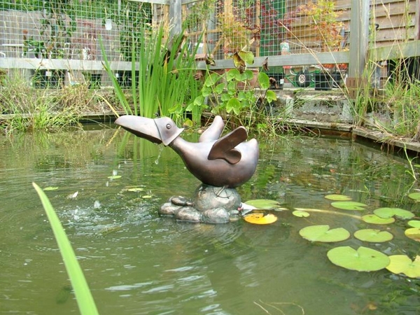Honeybrook Wigwams - Quack, quack