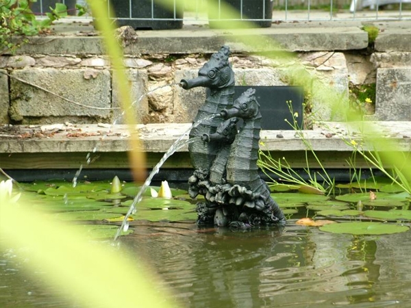 Honeybrook Wigwams - Honeybrook Seahorses