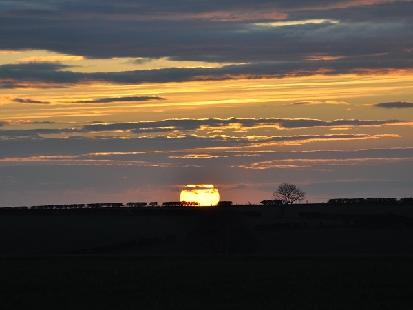 A Breathtaking Sunset at Humble Bee Farm - 