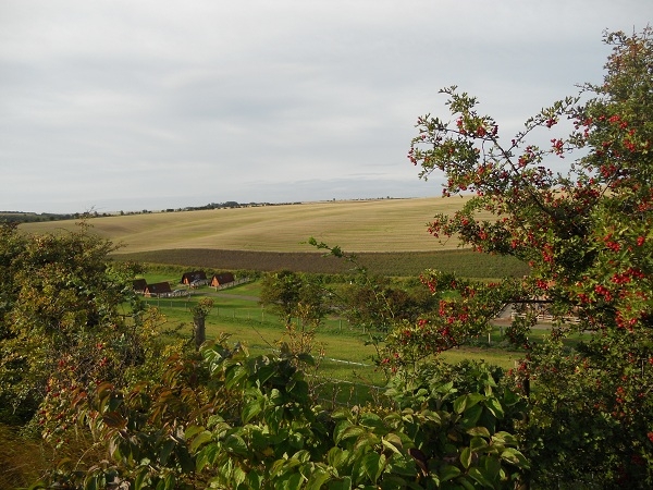 The Wigwams in Their Stunning Setting - 