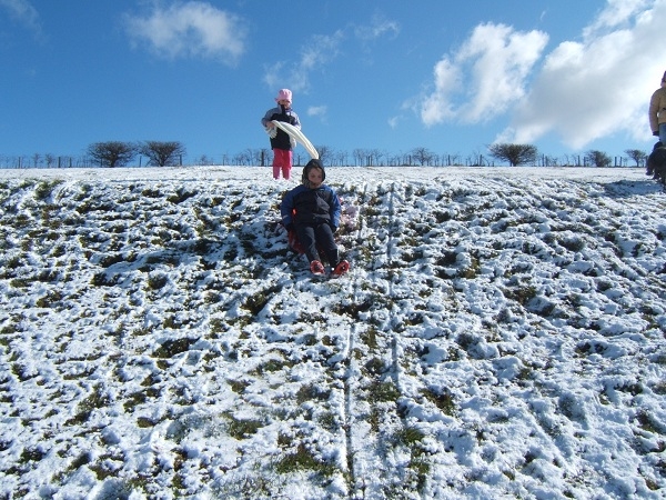 Wintery Fun! - 