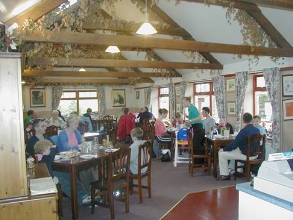 Best Cafe - A hearty meal and friendly welcome are a certainty