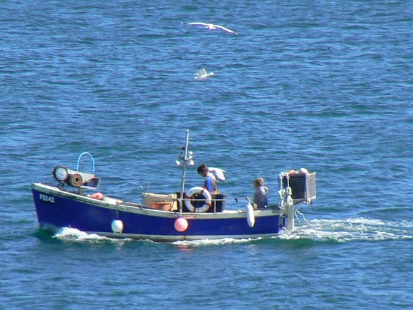 Fishing Trips - 