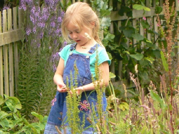 Tehidy Wigwams - Wildlife zones help create a natural feel to the site
