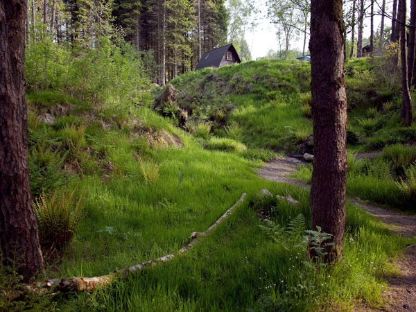 Wigwam from the Woods - 