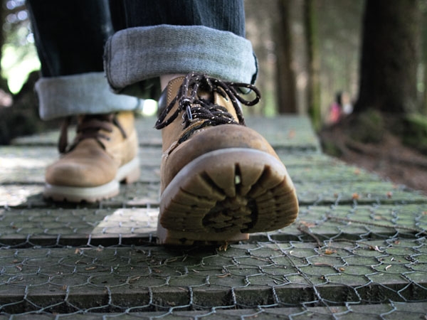 Walk through the Woods - 