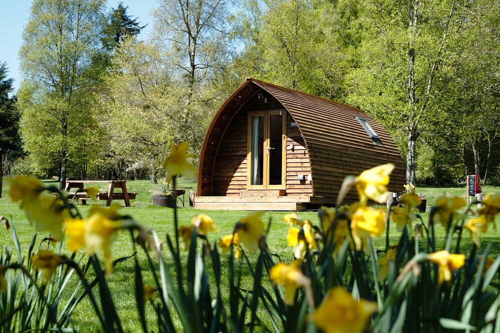 Cabin by the daffodils