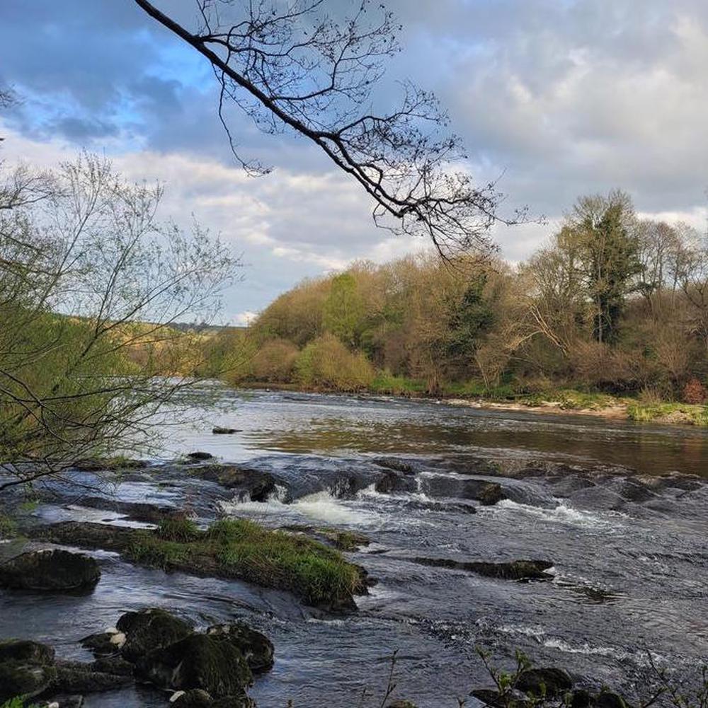 The River Eden running over rocks between wooded banks in the Eden Valley, Cumbria