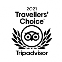 Trip advisor 2021 logo